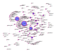 Adorno Aphorism 1 Visualization